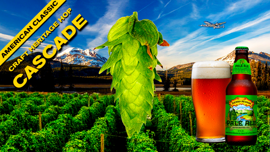 Cascade Hop Plant